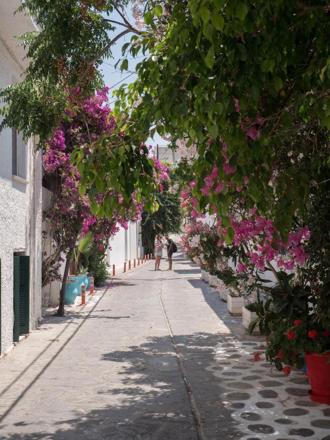 Terra Fos Naxos Studios Naxos City Exteriér fotografie